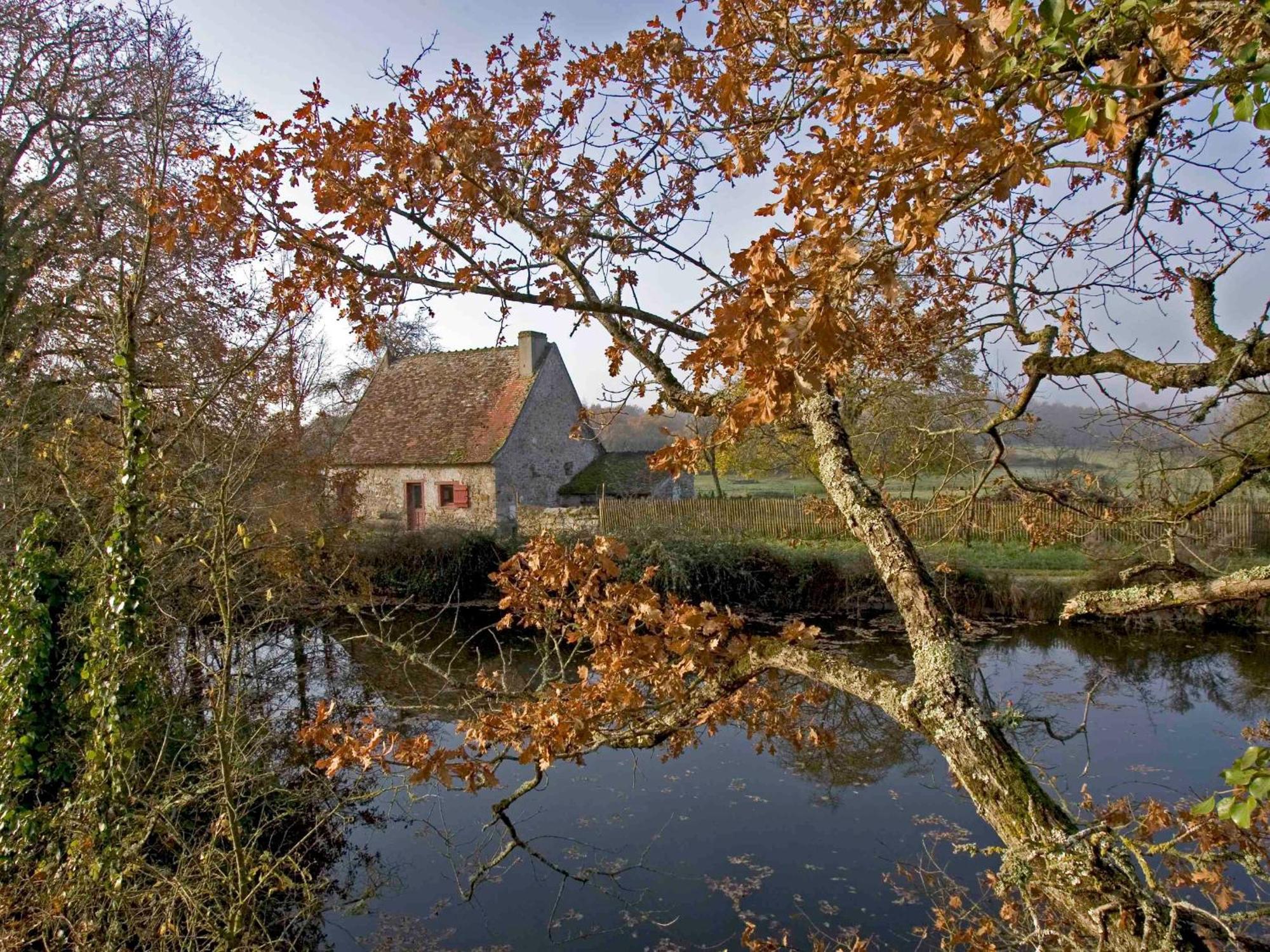 Sejour Nature Au Coeur Du Parc De La Brenne: Gite 4 Chambres, Jardin Et Terrasse, Proche De Rosnay - Fr-1-591-141 Zewnętrze zdjęcie